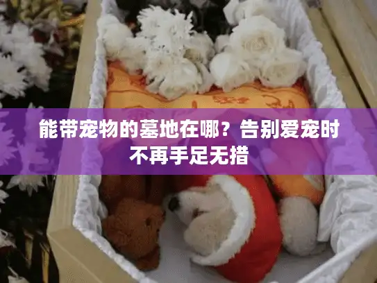 能带宠物的墓地在哪？告别爱宠时不再手足无措