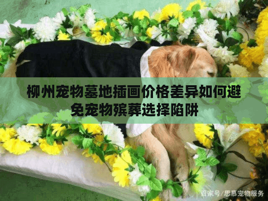 柳州宠物墓地插画价格差异如何避免宠物殡葬选择陷阱