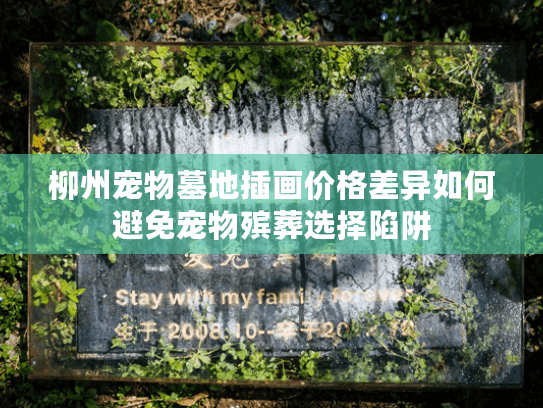 柳州宠物墓地插画价格差异如何避免宠物殡葬选择陷阱