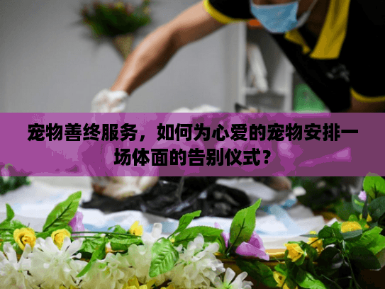 宠物善终服务，如何为心爱的宠物安排一场体面的告别仪式？