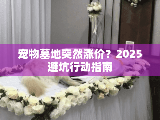 宠物墓地突然涨价？2025避坑行动指南
