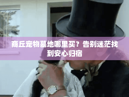 商丘宠物墓地哪里买?告别迷茫找到安心归宿 商丘宠物墓地哪里买?告别迷茫找到安心归宿