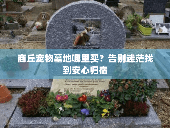商丘宠物墓地哪里买?告别迷茫找到安心归宿 商丘宠物墓地哪里买?告别迷茫找到安心归宿