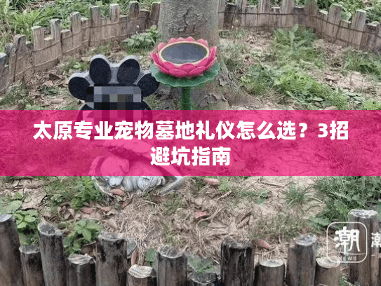 太原专业宠物墓地礼仪怎么选？3招避坑指南