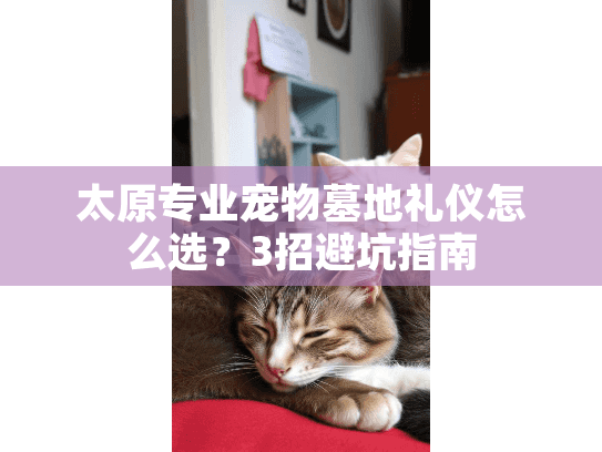 太原专业宠物墓地礼仪怎么选？3招避坑指南