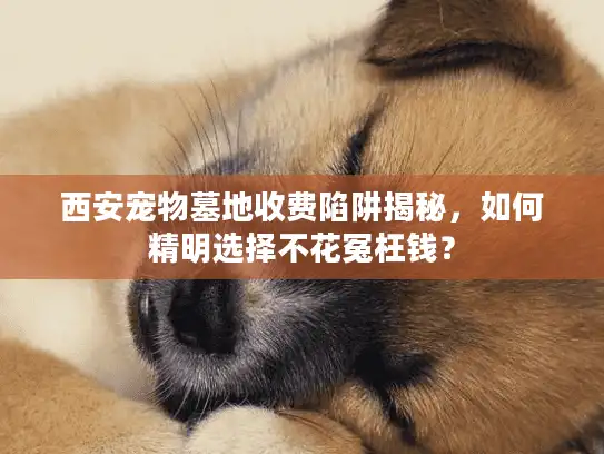 西安宠物墓地收费陷阱揭秘，如何精明选择不花冤枉钱？