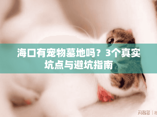 海口有宠物墓地吗？3个真实坑点与避坑指南