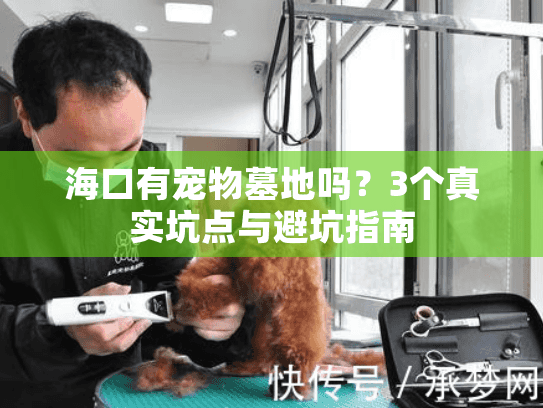 海口有宠物墓地吗？3个真实坑点与避坑指南