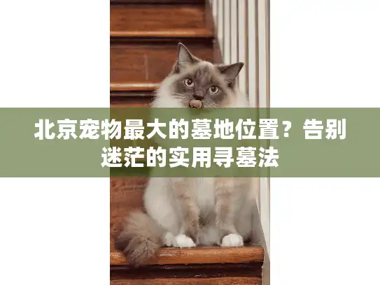 北京宠物最大的墓地位置？告别迷茫的实用寻墓法