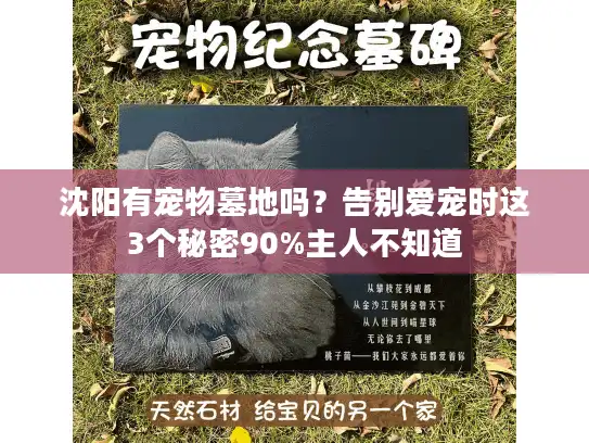 沈阳有宠物墓地吗?告别爱宠时这3个秘密90%主人不知道 沈阳有宠物墓地吗?告别爱宠时这3个秘密90%主人不知道