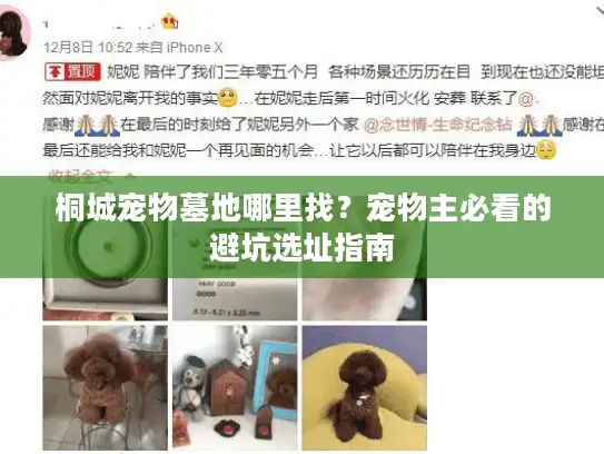 桐城宠物墓地哪里找？宠物主必看的避坑选址指南