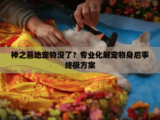 神之墓地宠物没了？专业化解宠物身后事终极方案
