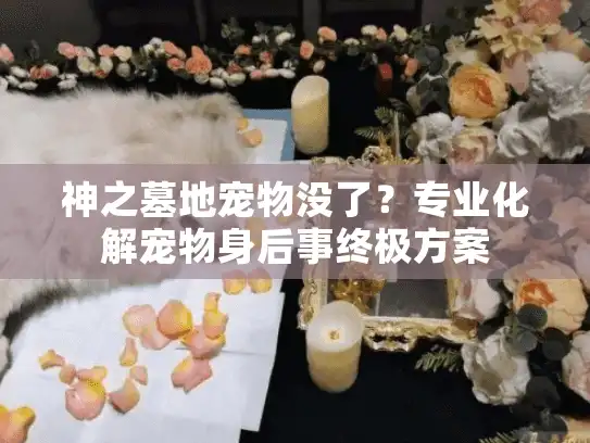 神之墓地宠物没了？专业化解宠物身后事终极方案