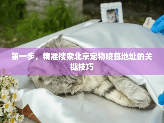 第一步，精准搜索北京宠物陵墓地址的关键技巧