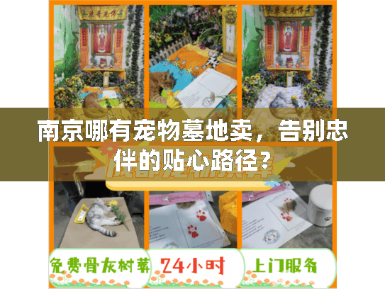 南京哪有宠物墓地卖，告别忠伴的贴心路径？