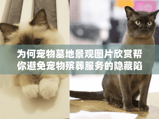 为何宠物墓地景观图片欣赏帮你避免宠物殡葬服务的隐藏陷阱？