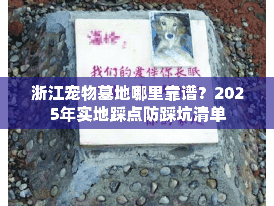 浙江宠物墓地哪里靠谱？2025年实地踩点防踩坑清单