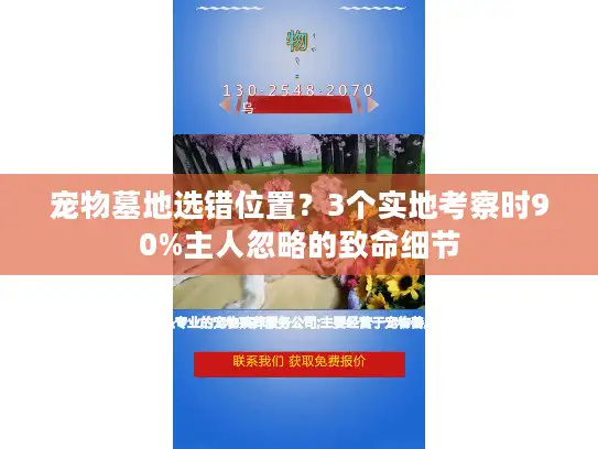 宠物墓地选错位置？3个实地考察时90%主人忽略的致命细节