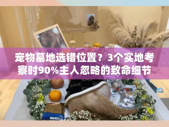 宠物墓地选错位置？3个实地考察时90%主人忽略的致命细节