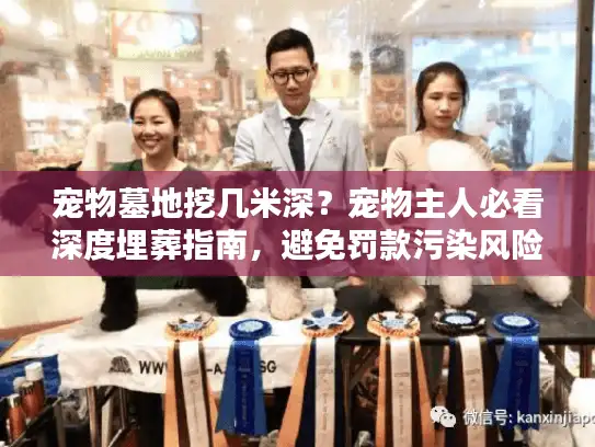 宠物墓地挖几米深?宠物主人必看深度埋葬指南,避免罚款污染风险 宠物墓地挖几米深?宠物主人必看深度埋葬指南,避免罚款污染风险