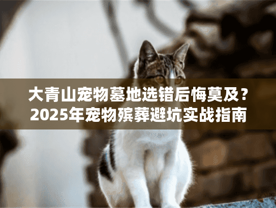 大青山宠物墓地选错后悔莫及？2025年宠物殡葬避坑实战指南