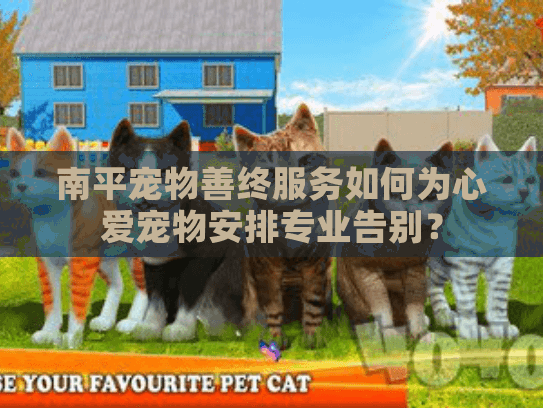 南平宠物善终服务如何为心爱宠物安排专业告别? 南平宠物善终服务如何为心爱宠物安排专业告别?
