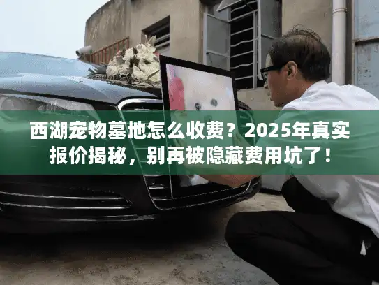 西湖宠物墓地怎么收费？2025年真实报价揭秘，别再被隐藏费用坑了！