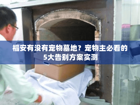 福安有没有宠物墓地？宠物主必看的5大告别方案实测