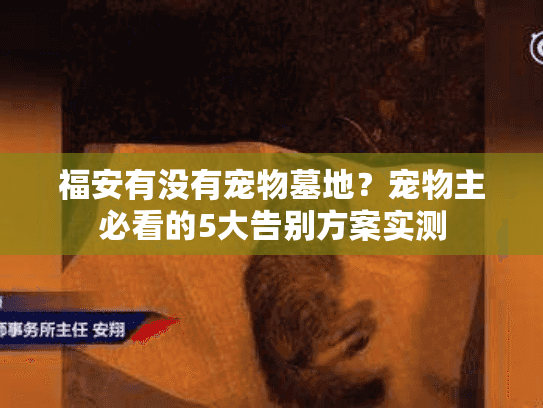 福安有没有宠物墓地？宠物主必看的5大告别方案实测