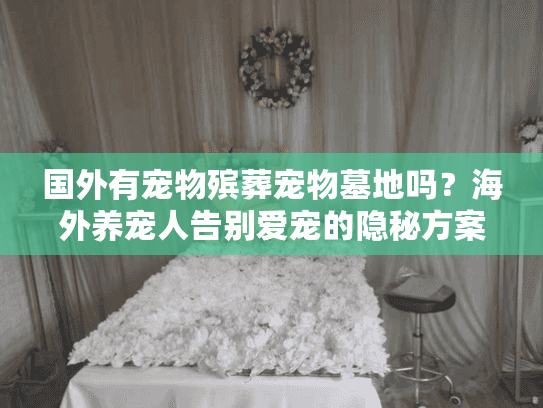 国外有宠物殡葬宠物墓地吗?海外养宠人告别爱宠的隐秘方案 国外有宠物殡葬宠物墓地吗?海外养宠人告别爱宠的隐秘方案