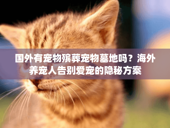 国外有宠物殡葬宠物墓地吗?海外养宠人告别爱宠的隐秘方案 国外有宠物殡葬宠物墓地吗?海外养宠人告别爱宠的隐秘方案