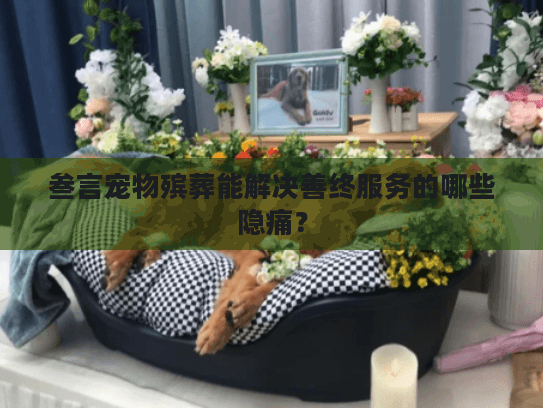 叁言宠物殡葬能解决善终服务的哪些隐痛? 叁言宠物殡葬能解决善终服务的哪些隐痛?