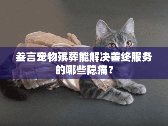 叁言宠物殡葬能解决善终服务的哪些隐痛? 叁言宠物殡葬能解决善终服务的哪些隐痛?