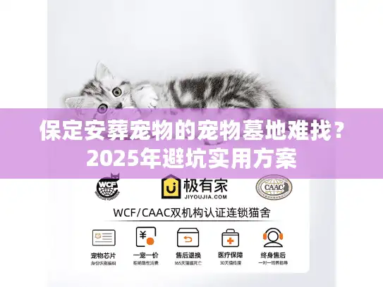 保定安葬宠物的宠物墓地难找？2025年避坑实用方案