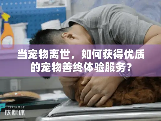 当宠物离世，如何获得优质的宠物善终体验服务？