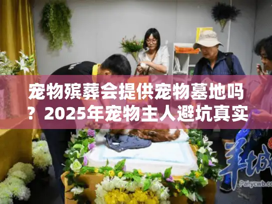 宠物殡葬会提供宠物墓地吗？2025年宠物主人避坑真实指南