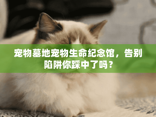 宠物墓地宠物生命纪念馆，告别陷阱你踩中了吗？