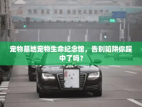 宠物墓地宠物生命纪念馆，告别陷阱你踩中了吗？