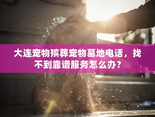 大连宠物殡葬宠物墓地电话,找不到靠谱服务怎么办? 大连宠物殡葬宠物墓地电话,找不到靠谱服务怎么办?