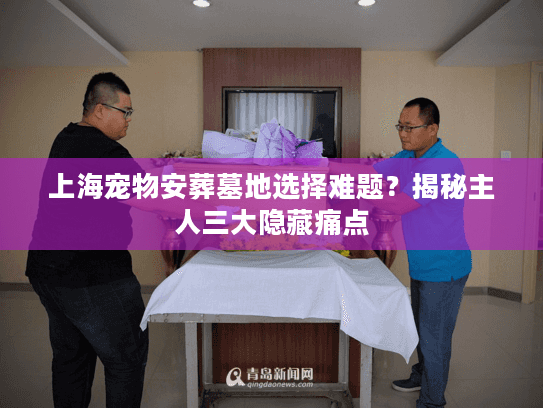 上海宠物安葬墓地选择难题？揭秘主人三大隐藏痛点
