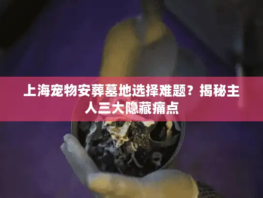 上海宠物安葬墓地选择难题？揭秘主人三大隐藏痛点