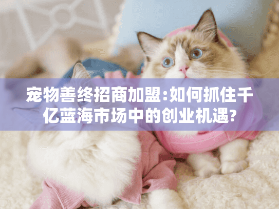 宠物善终招商加盟:如何抓住千亿蓝海市场中的创业机遇? 宠物善终招商加盟:如何抓住千亿蓝海市场中的创业机遇?