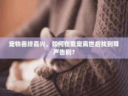宠物善终嘉兴,如何在爱宠离世后找到尊严告别? 宠物善终嘉兴,如何在爱宠离世后找到尊严告别?