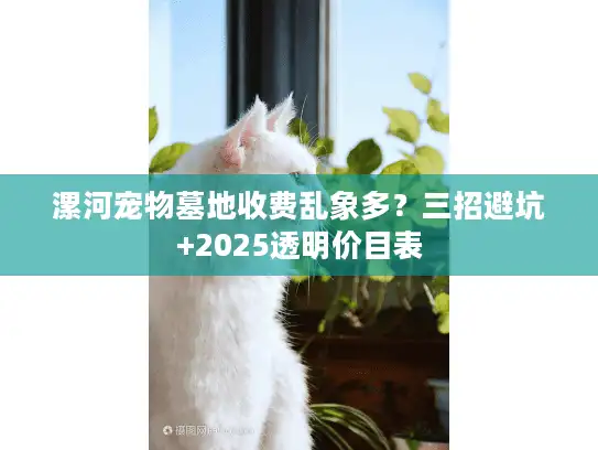 漯河宠物墓地收费乱象多?三招避坑+2025透明价目表 漯河宠物墓地收费乱象多?三招避坑+2025透明价目表