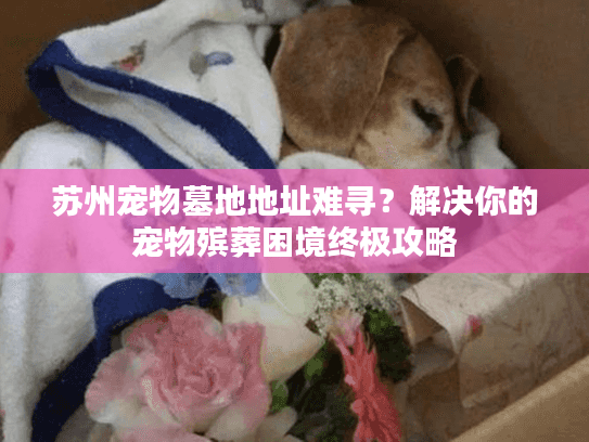苏州宠物墓地地址难寻?解决你的宠物殡葬困境终极攻略 苏州宠物墓地地址难寻?解决你的宠物殡葬困境终极攻略