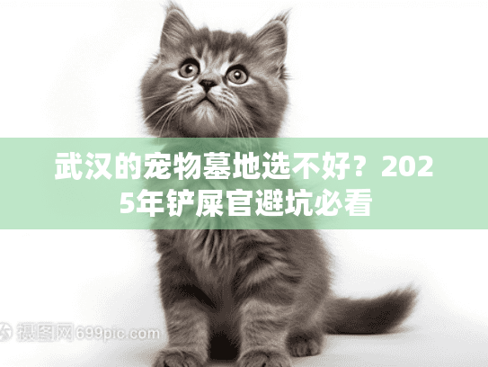 武汉的宠物墓地选不好?2025年铲屎官避坑必看 武汉的宠物墓地选不好?2025年铲屎官避坑必看