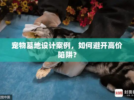 宠物墓地设计案例，如何避开高价陷阱？