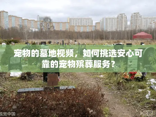 宠物的墓地视频,如何挑选安心可靠的宠物殡葬服务? 宠物的墓地视频,如何挑选安心可靠的宠物殡葬服务?