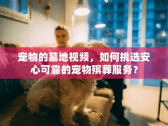 宠物的墓地视频,如何挑选安心可靠的宠物殡葬服务? 宠物的墓地视频,如何挑选安心可靠的宠物殡葬服务?
