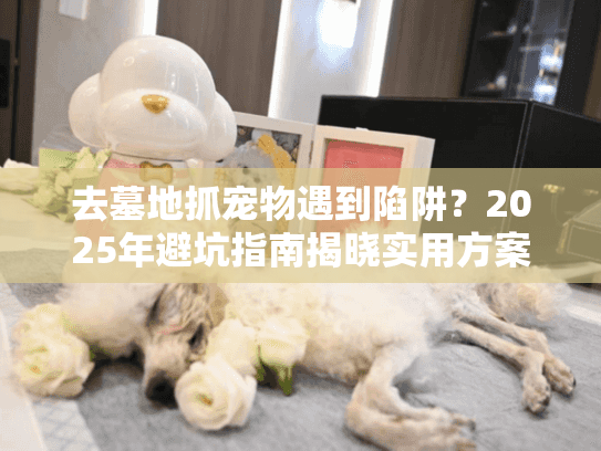 去墓地抓宠物遇到陷阱？2025年避坑指南揭晓实用方案